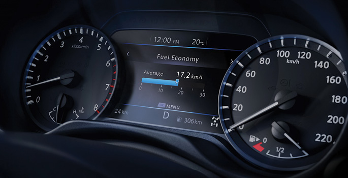 ADVANCED DRIVER-ASSIST DISPLAY*